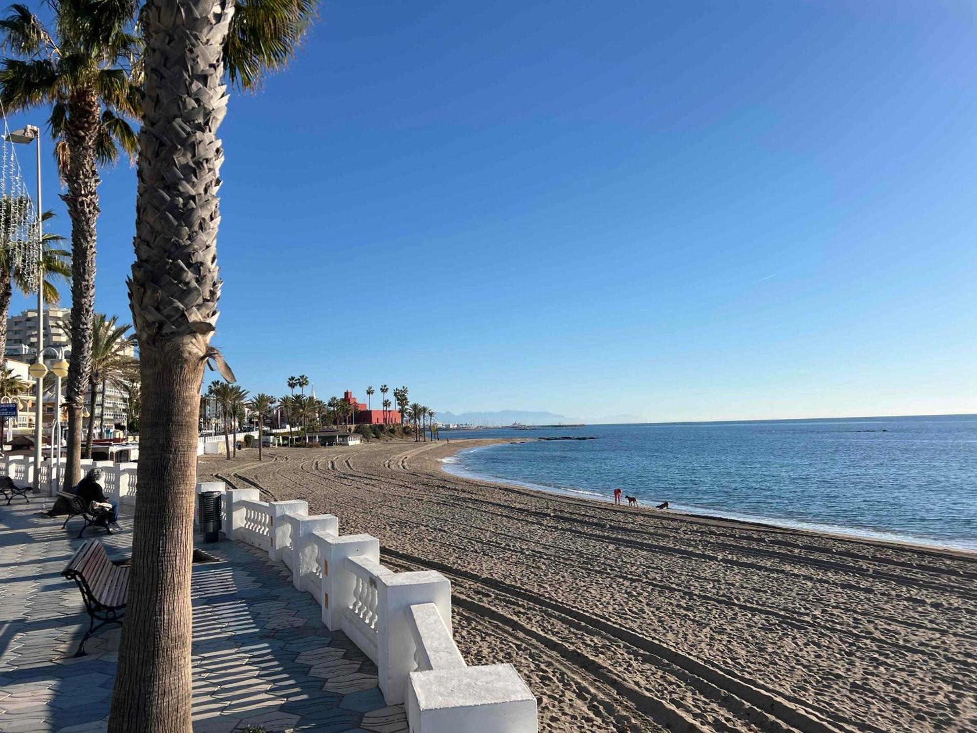 Patos Your On La Costa Del Sol Benalmadena